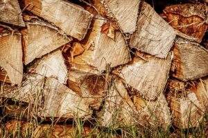 the wood piles