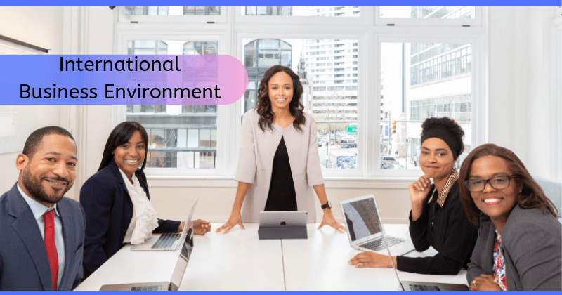 components of international business environment