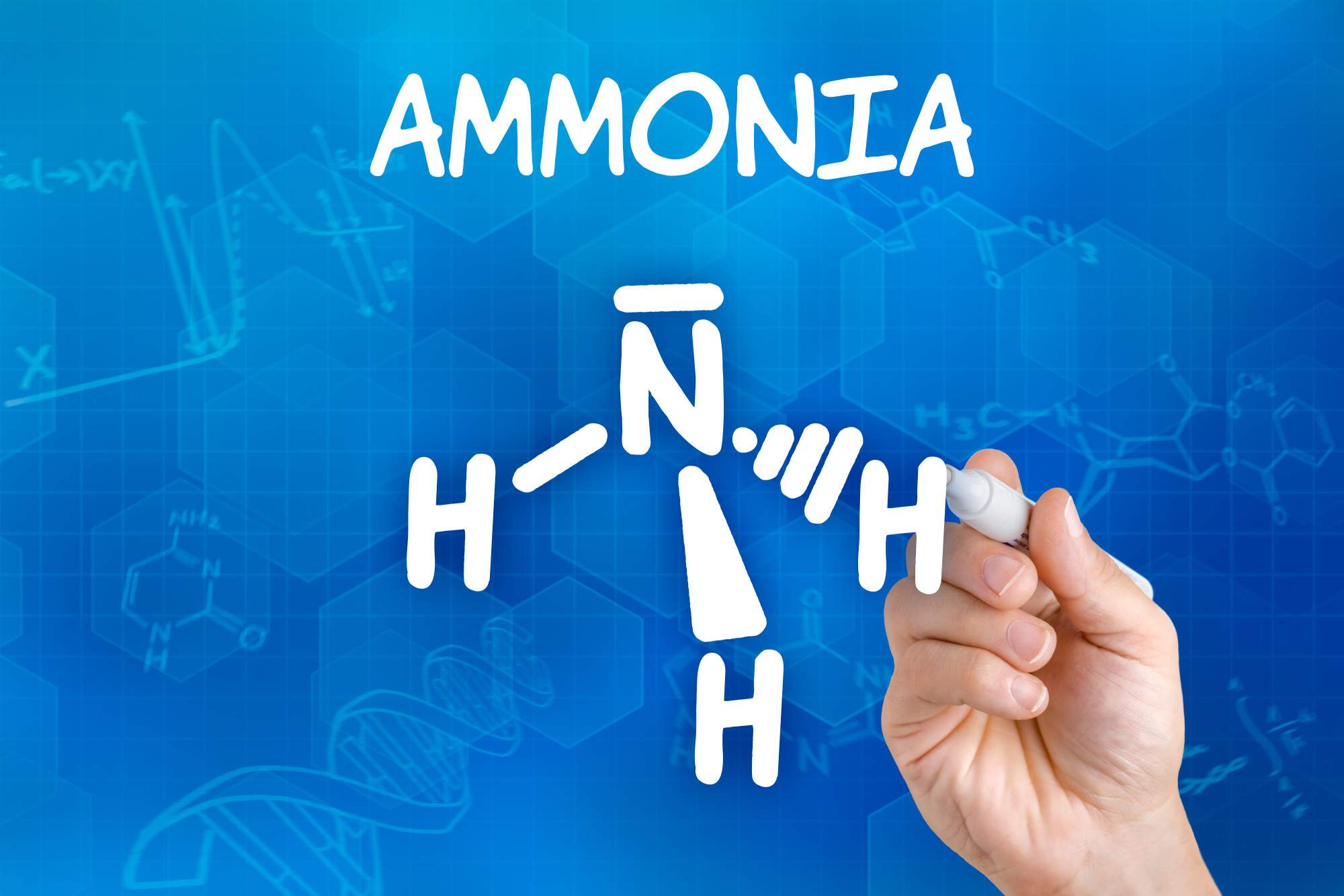 Ammonia vs. Ammonium: What Are the Differences?