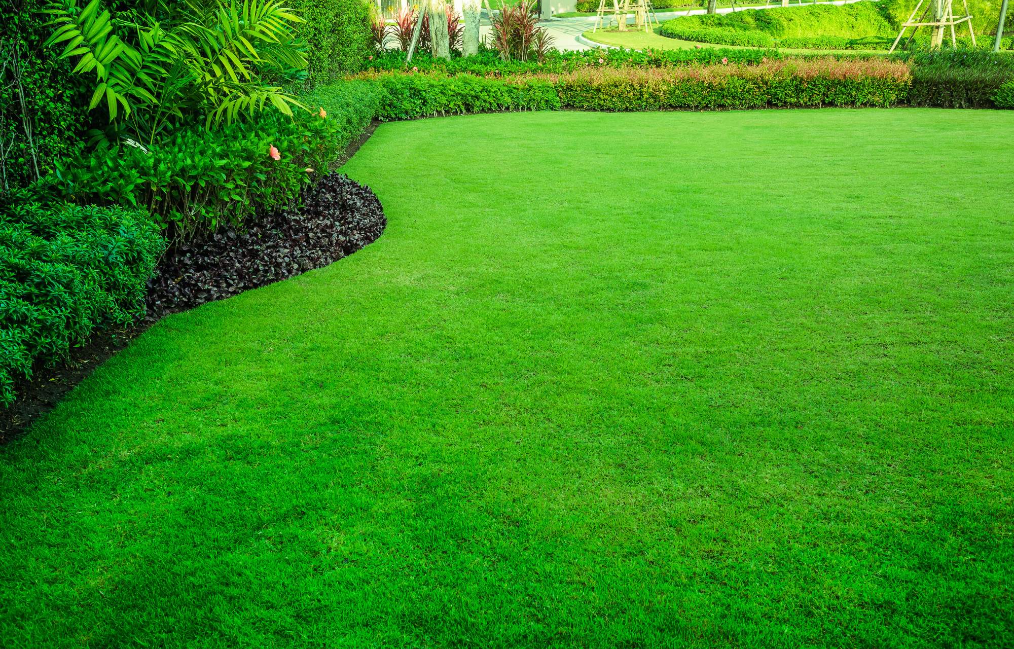 How to Mow a Lawn the Right Way