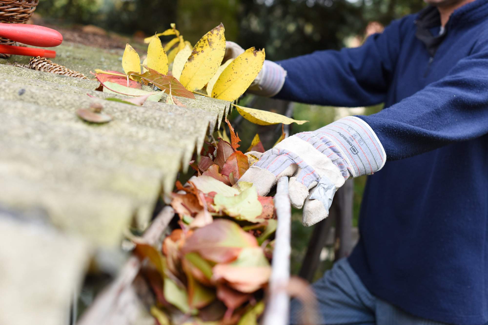 How to Clean Gutters: A Guide for Homeowners