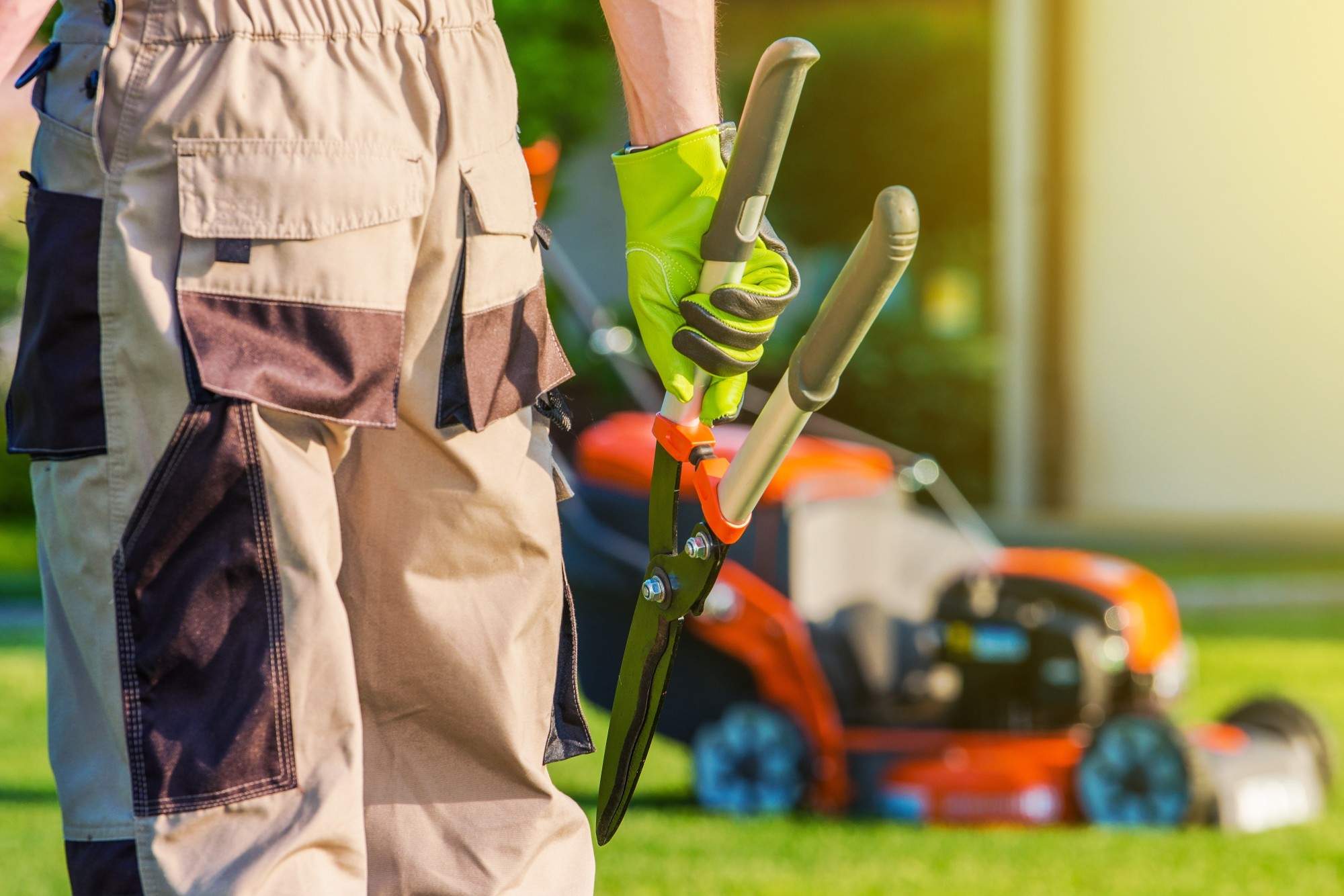 5 Things to Know About Landscaping Services Insurance