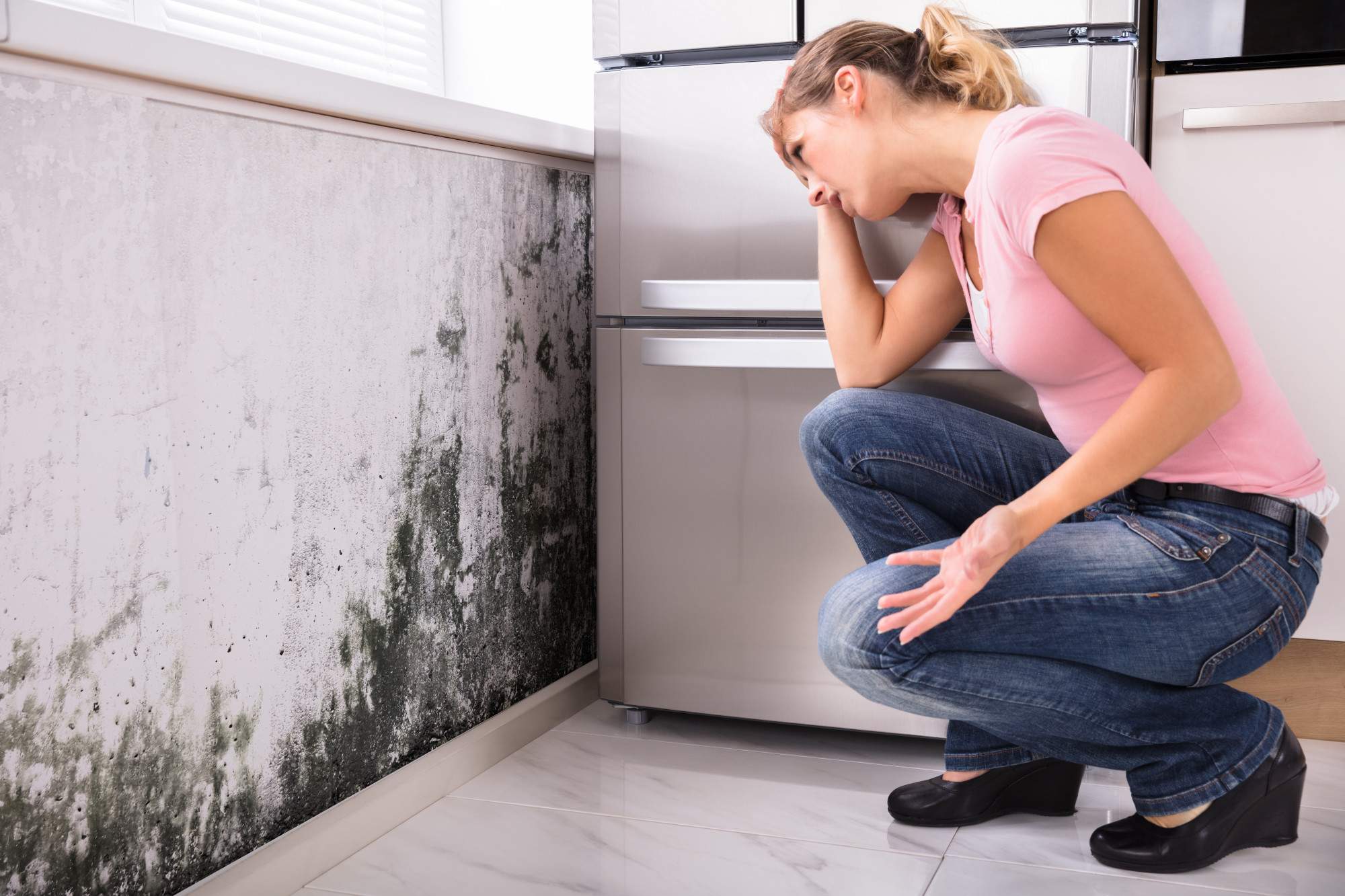 How to Prevent Mold: A Guide for Homeowners